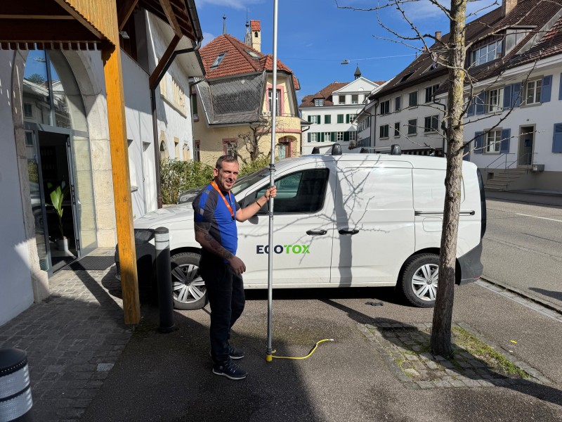 wespen entfernen basel