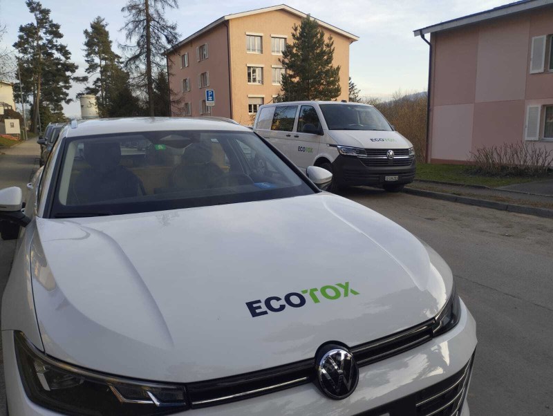 wespennest entfernen unter dachkammerjaeger wespenexpertewespengefahr im sommerwespen entfernen für vermieterwespen unter holzverkleidungschnelle hilfe bei wespennest